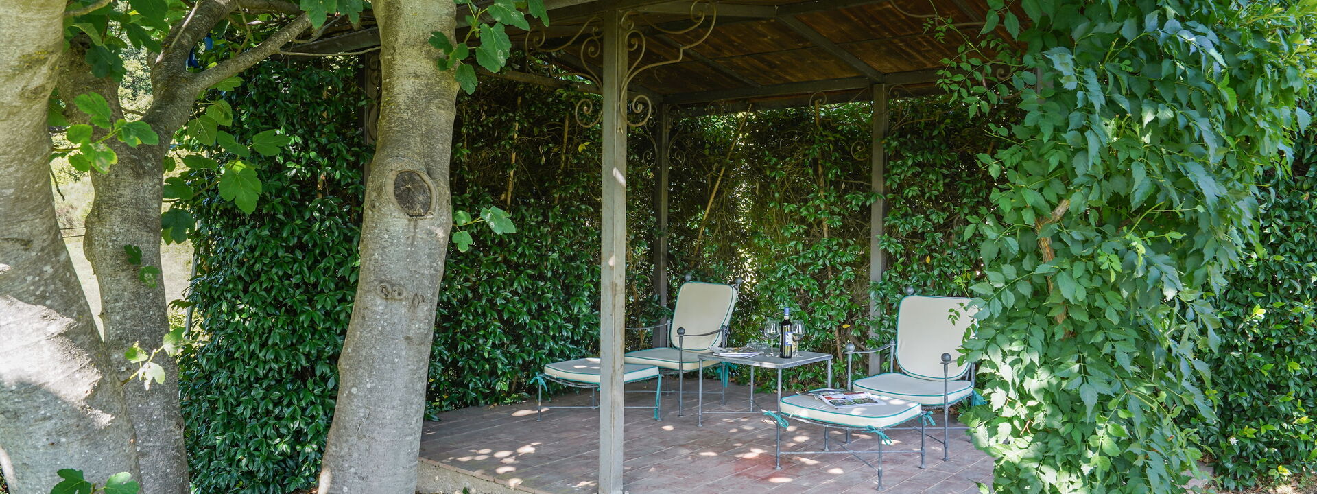 Villa Stefano: Garden