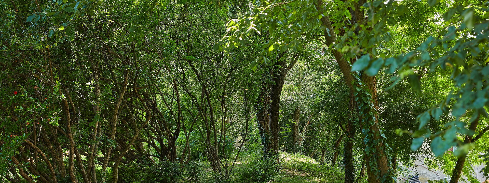 Villa Franciacorta: Außen, Ausstattung, Draussen, Frühling, Garten, Herbst, Sommer