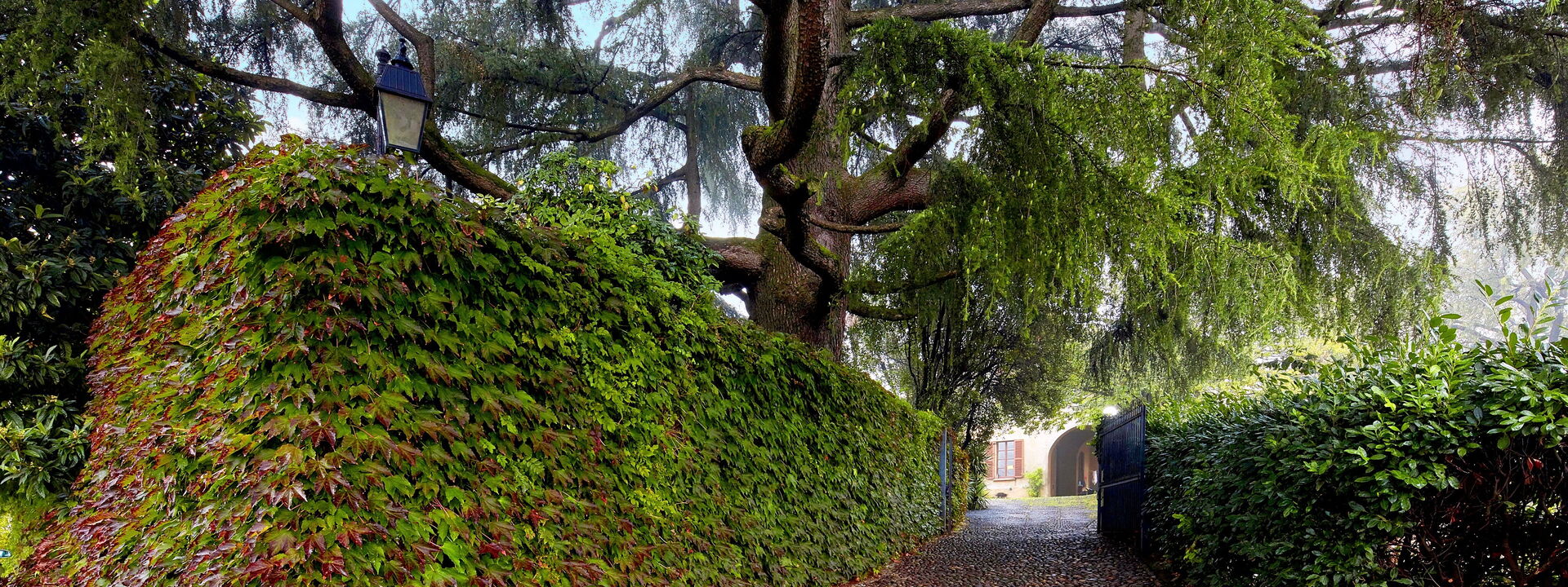 Villa Franciacorta: Außen, Ausstattung, Draussen, Frühling, Garten, Herbst, Sommer