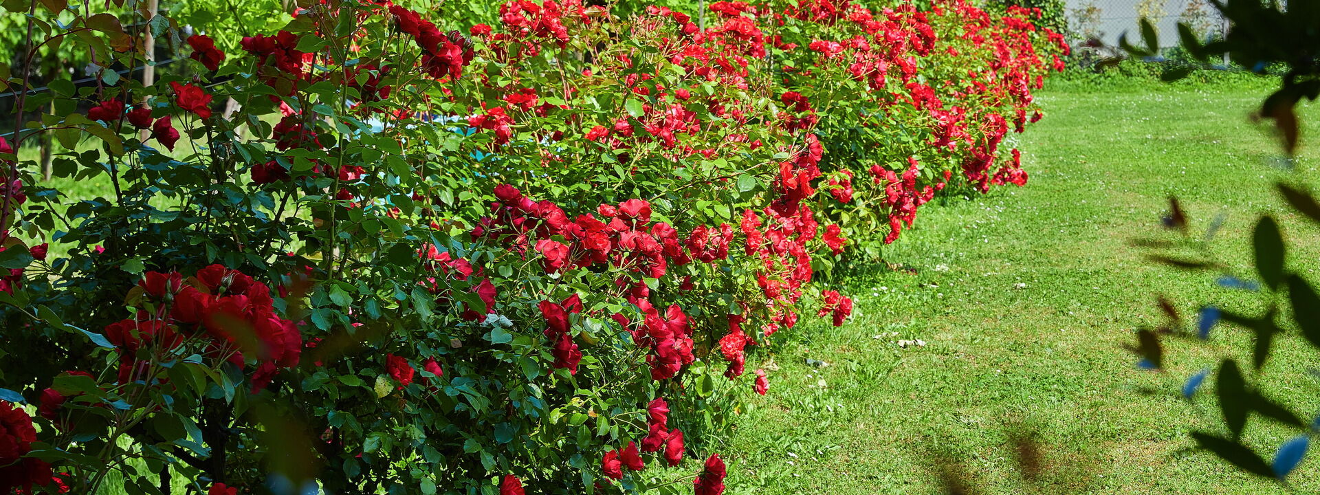 Villa Franciacorta: Außen, Ausstattung, Draussen, Frühling, Garten, Herbst, Sommer
