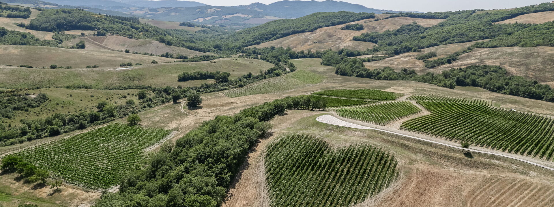Podere Tesoro - Radicondoli, Toscana: Autumn, Building Exterior, Spring, Summer