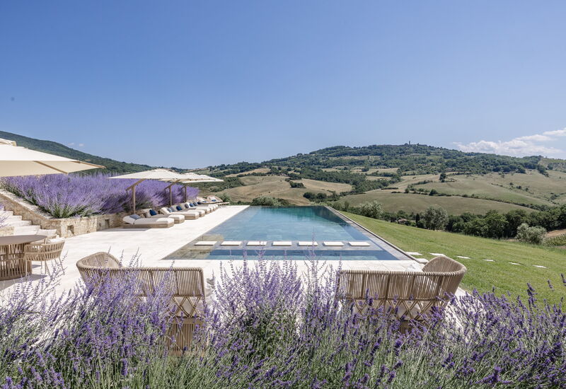 Podere Tesoro - Radicondoli, Toscana: Autunno, Estate, Esterni, Piscina, Primavera