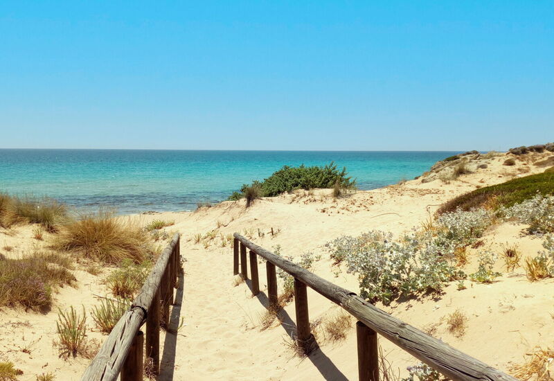 Villa Trullo - Torricella, Puglia: Außen, Ausstattung, Draussen, Frühling, Herbst, Sommer