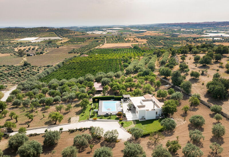 Casa Cortese - Noto, Sicilia: Automne, Balcon / Terrasse / Patio, bassin, Été, Extérieur, Extérieurs, Jardin, Printemps