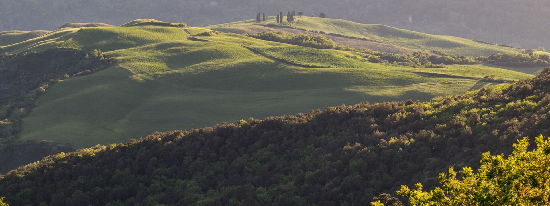 Villa Velari In Volterra With Private Pool, Ac: Automne, Été, Jardin, Printemps, Vues